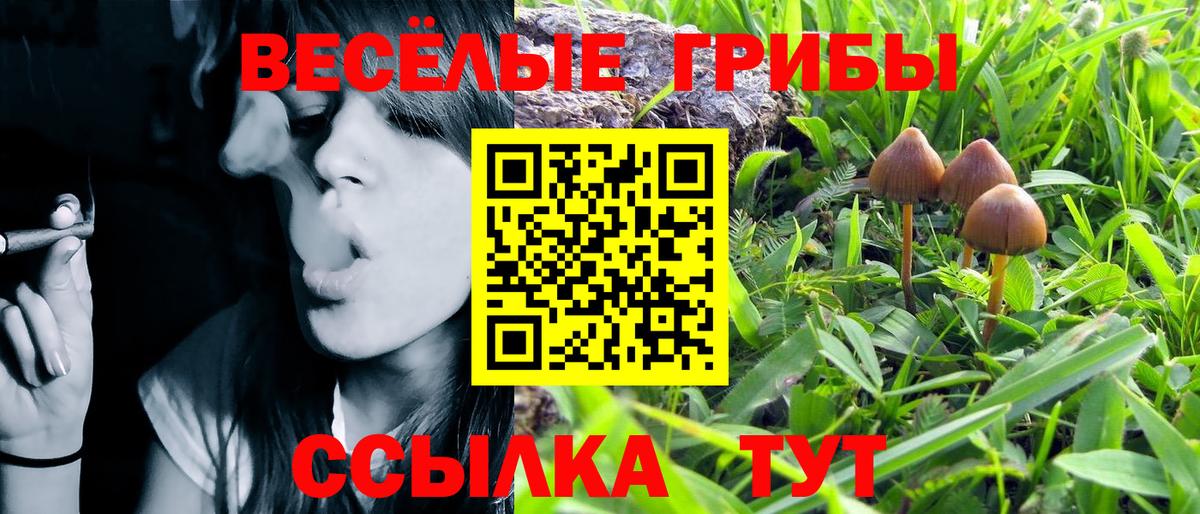 Псилоцибиновые грибы MAGIC MUSHROOMS  Галлюциногенные грибы ЛСД  Вход с VPN  Черняховск 